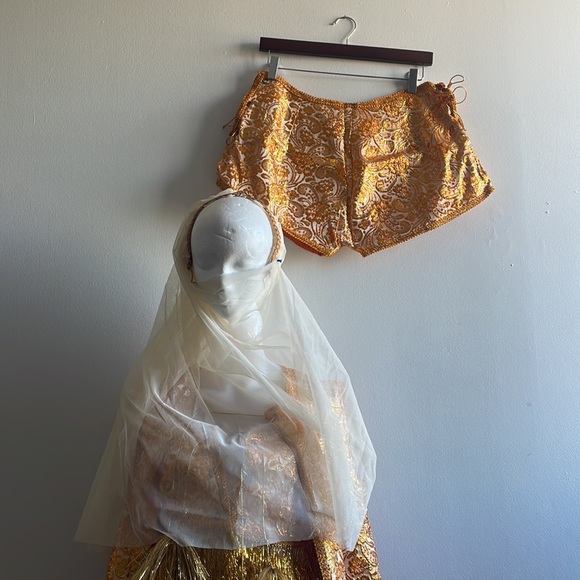 Vintage Middle Eastern Halloween Costume Veil - Picture 5 of 10